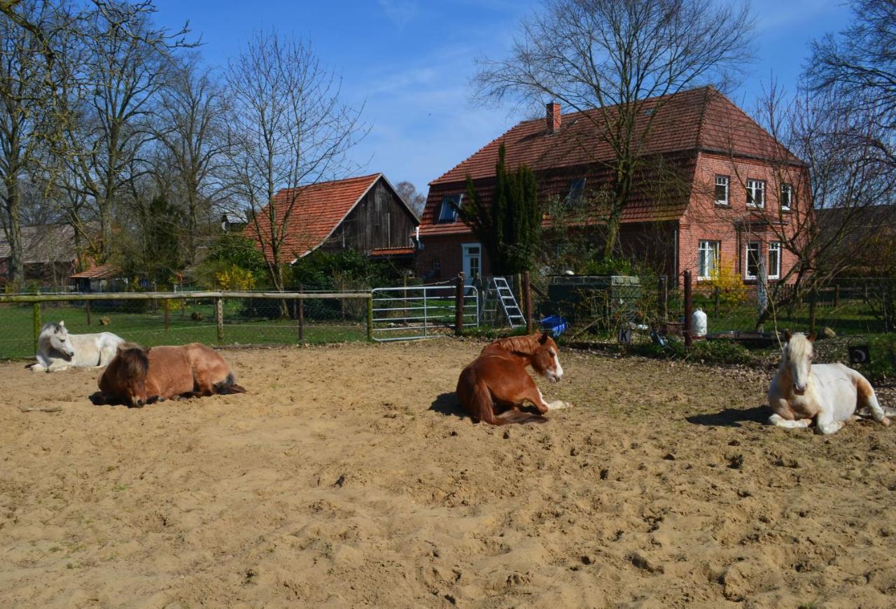Ferienwohnung Noltenius Bulstedt Экстерьер фото